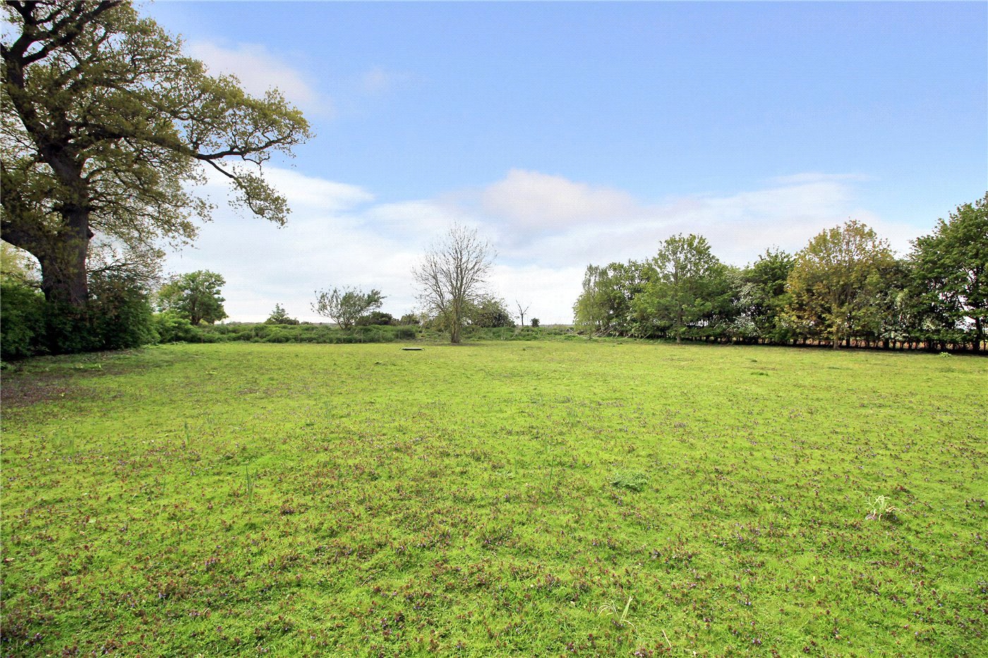 Grounds